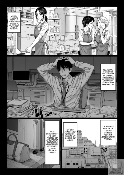 Página 4